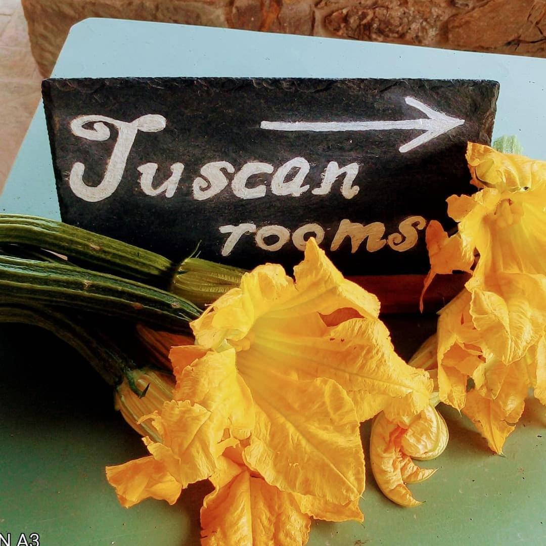 Tuscan Rooms Greve in Chianti Esterno foto